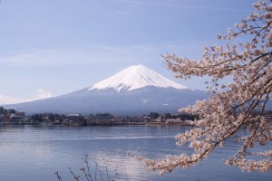 Lake_Kawaguchiko_Sakura_Mount_Fuji_4-640x428