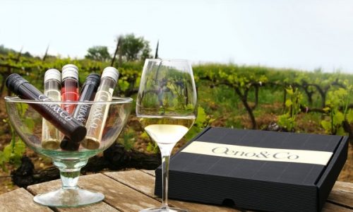 Oeno & Co предлагает вина Долины Роны в необычной таре