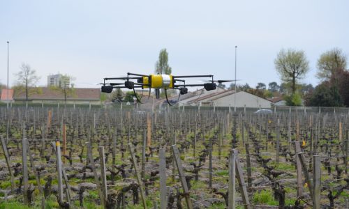 Дроны будут следить за здоровьем винограда во Франции