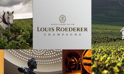 Louis Roederer покупает виноградники в Великобритании?
