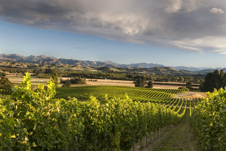 Экспорт новозеландских вин бьет рекорды