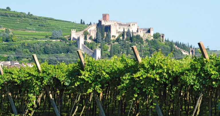 Винный регион Соаве включен в список национального наследия Италии