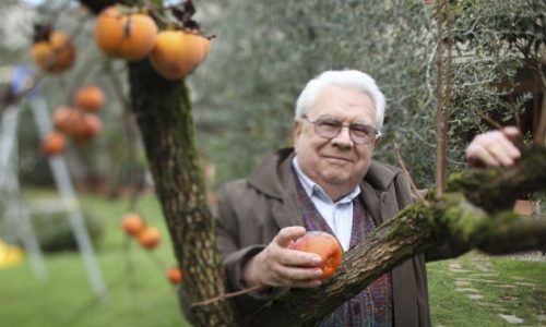 Скончался Джакомо Такис, «отец» итальянского виноделия