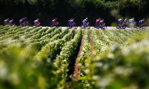 Французские виноделы выступают против велогонки Тур де Франс