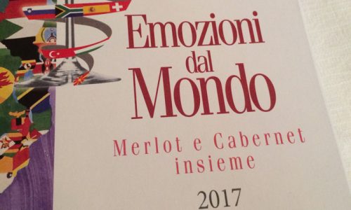 В Италии прошел конкурс «Эмоции мира: Мерло и Каберне» (и Россия не осталась без внимания)