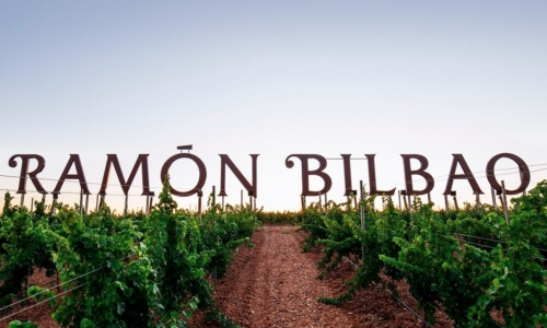 Ради лучших вин Ramón Bilbao стремится в горы