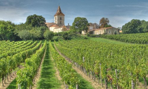 100 лучших французских вин 2017 по версии Джеймса Саклинга