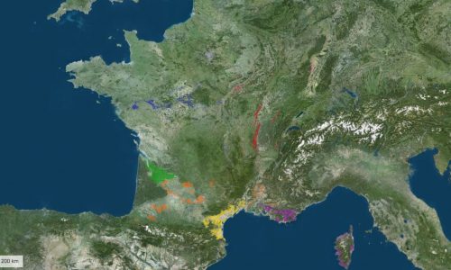 Создана онлайн карта виноградников AOC Франции