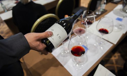 Первопроходцы из Чили: виноделы Cono Sur открыли России премиальный Пино Нуар